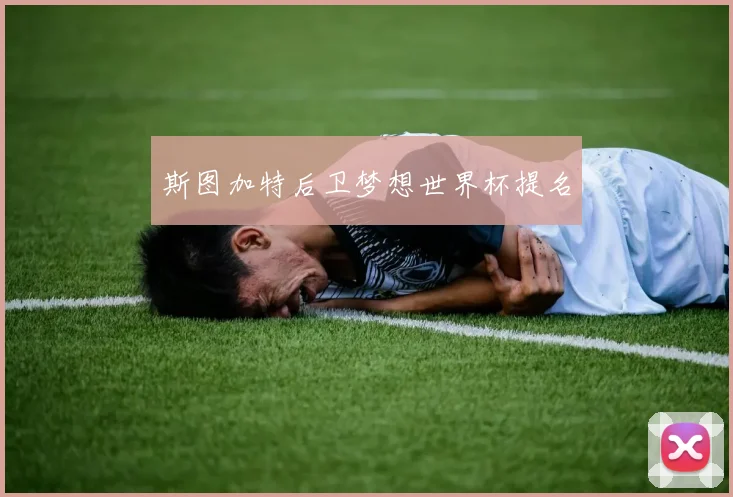 斯图加特后卫梦想世界杯提名