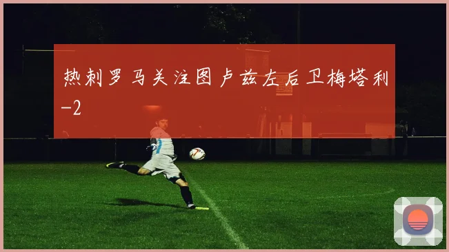 热刺罗马关注图卢兹左后卫梅塔利