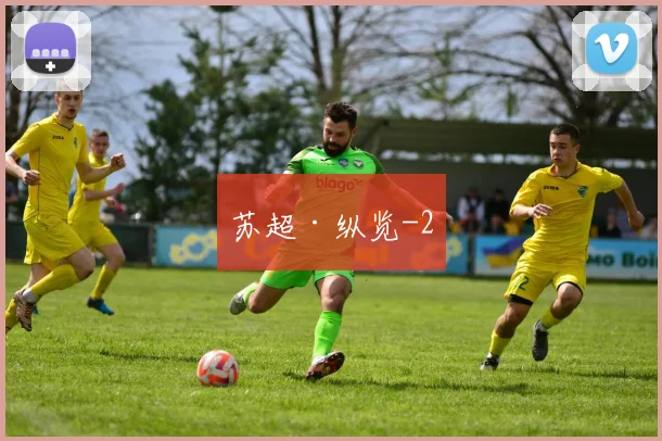 苏超·纵览